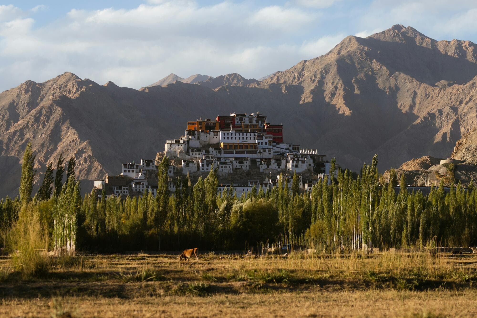 Thiksey Monastery on its hill in Ladakh, with the Himalayas behind